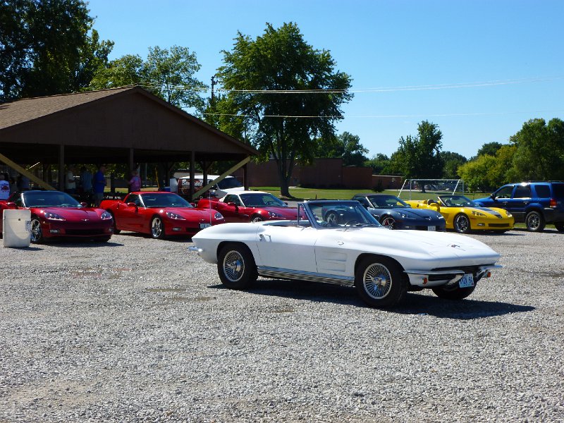 STLCC Picnic Sept 2013 007